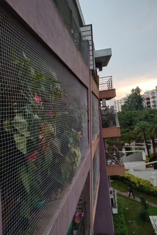 Transparent Bird Protection Nets in Hyderabad installed by Lasya Safety Nets to prevent birds from entering balconies, windows and open spaces while maintaining clear visibility.