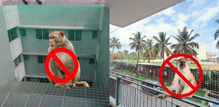 Premium Monkey Safety Nets in Hyderabad installed by Lasya Safety Nets to prevent monkey intrusion into homes and buildings.